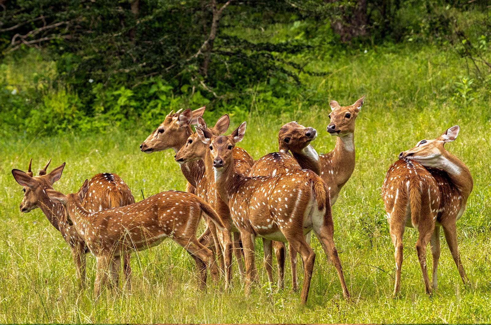 Peaceful evenings at Teshi Safari Villa
