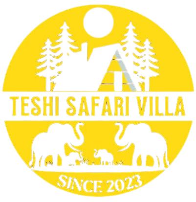 Teshi Safari Villa