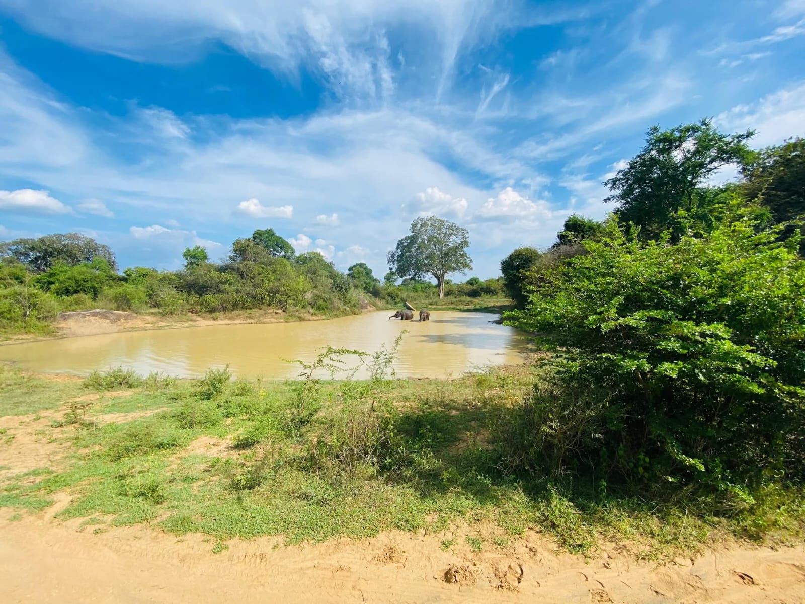 Udawalawe National Park