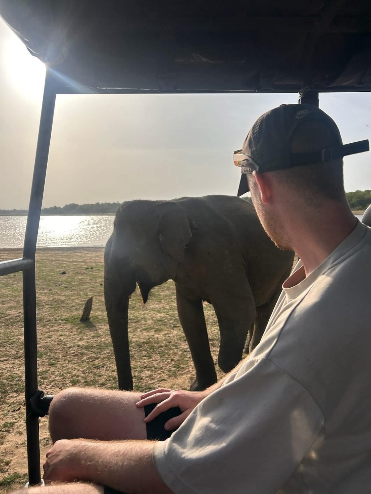 Early morning jeep safari at Udawalawe
