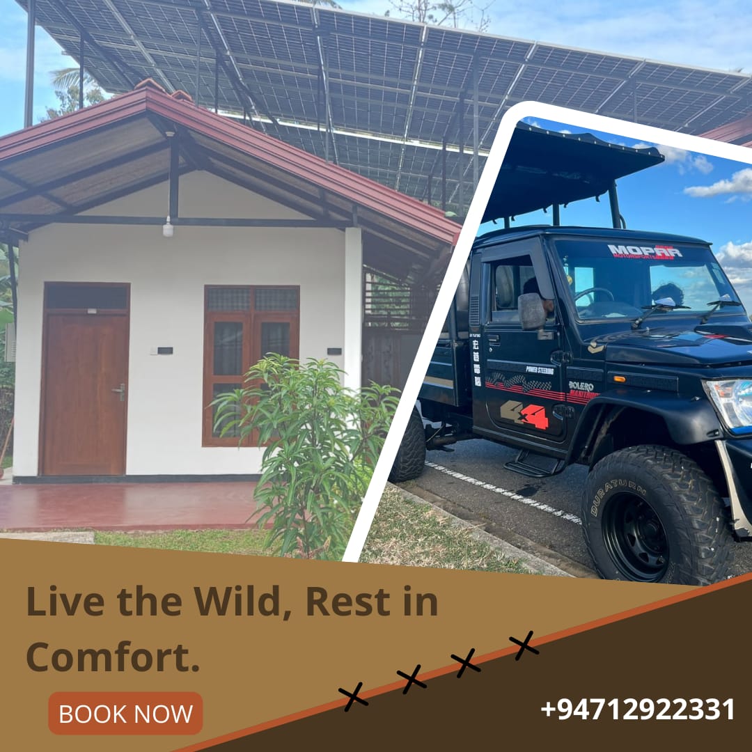 Teshi Safari Villa experience in Udawalawe