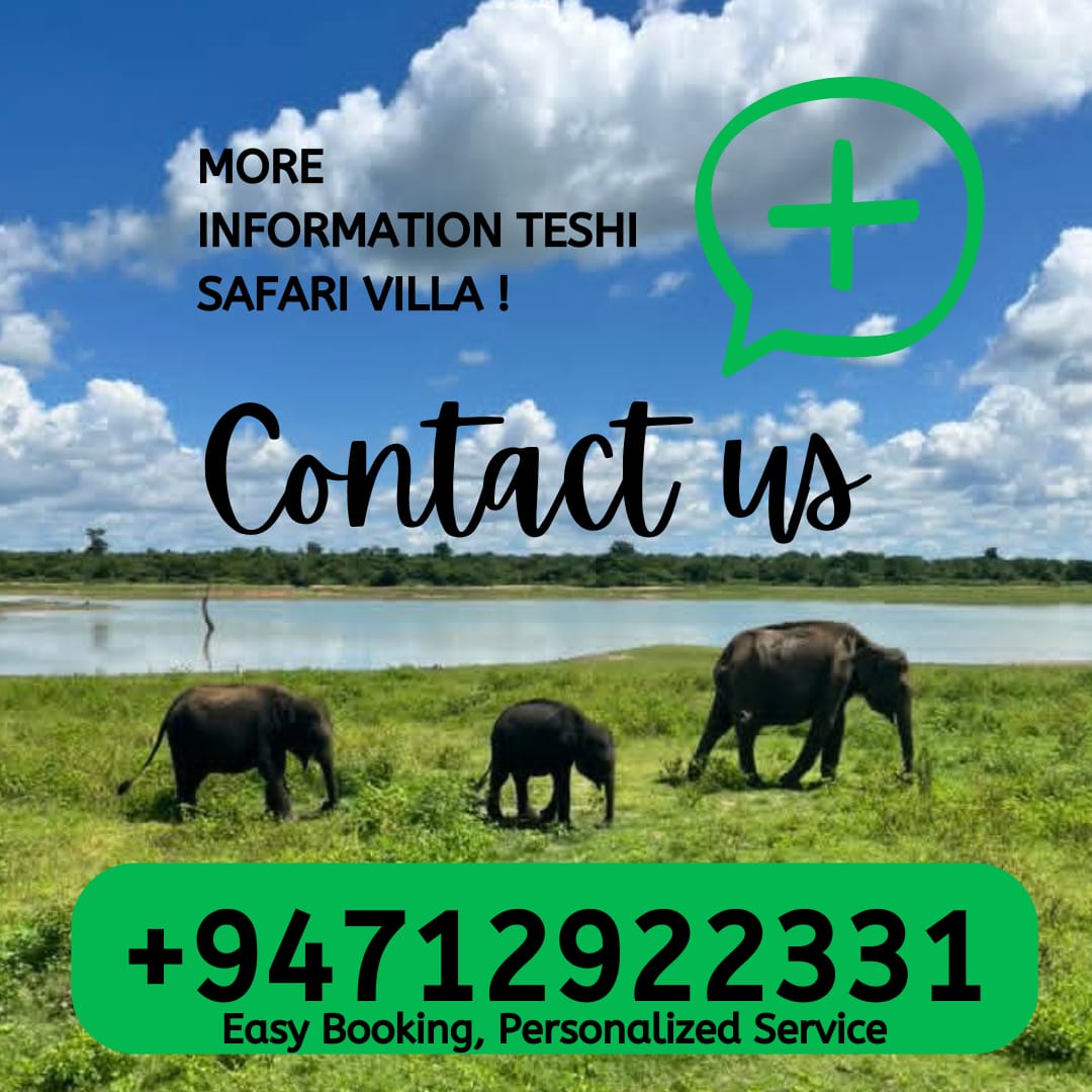 Direct reservation and accommodation view at Teshi Safari Villa