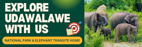 Safari banner at Teshi Safari Villa in Udawalawe