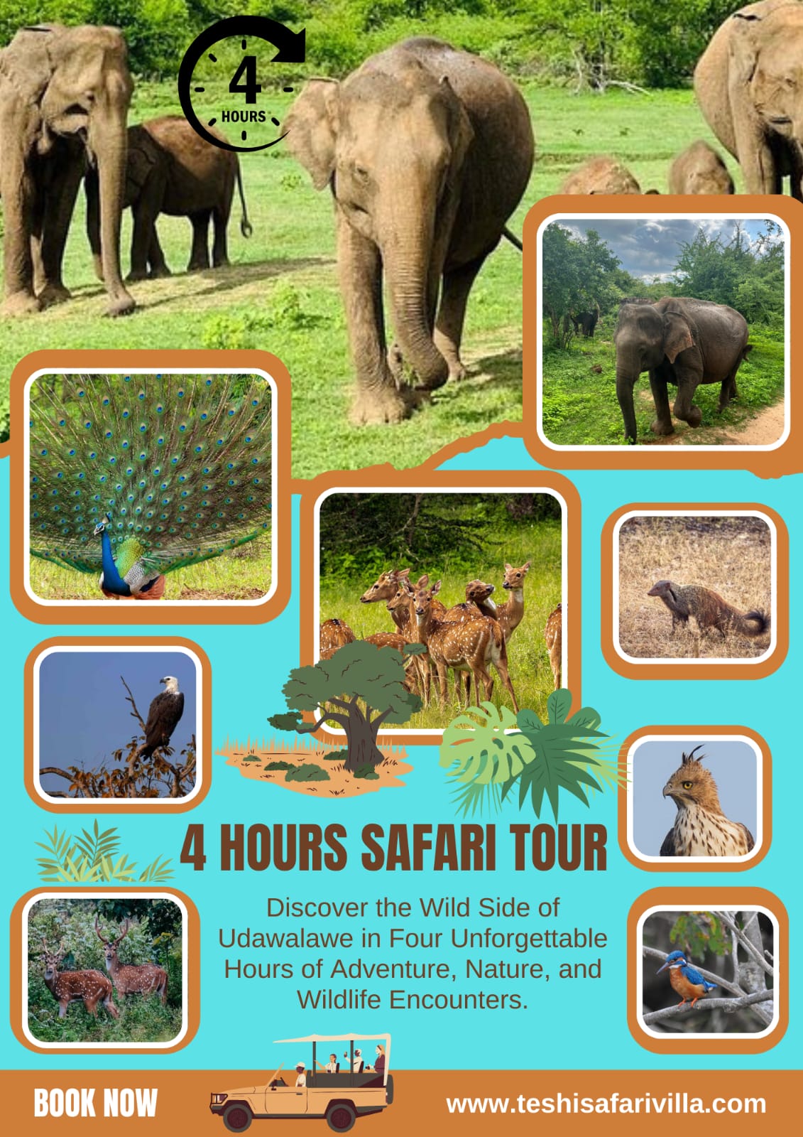 4 hours safari tour in Udawalawe