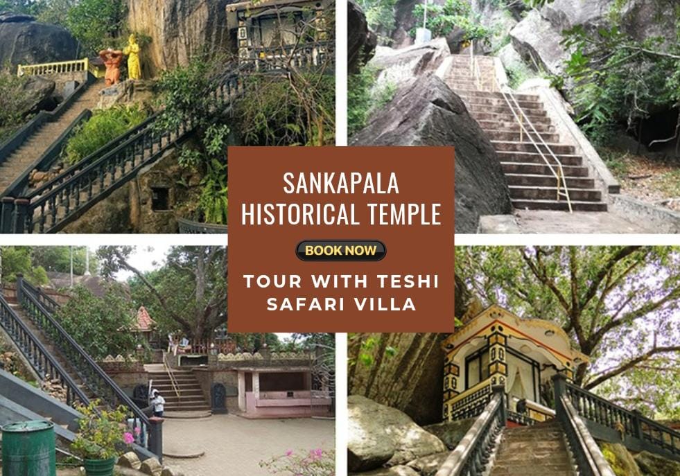 Sankapala Rajamaha Viharaya tour