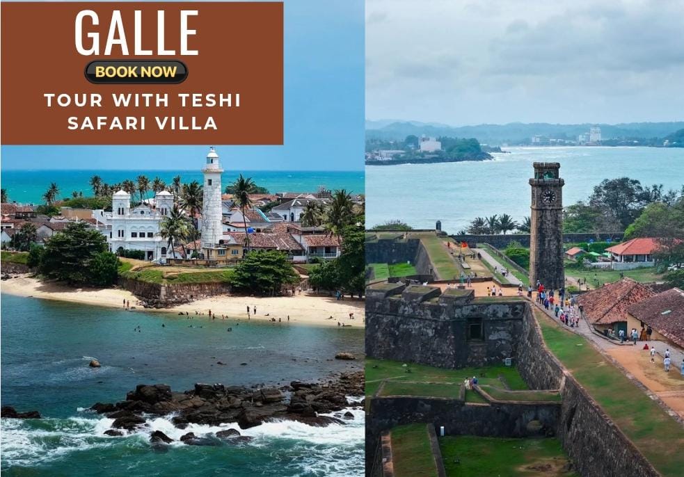 Galle tour from Udawalawe