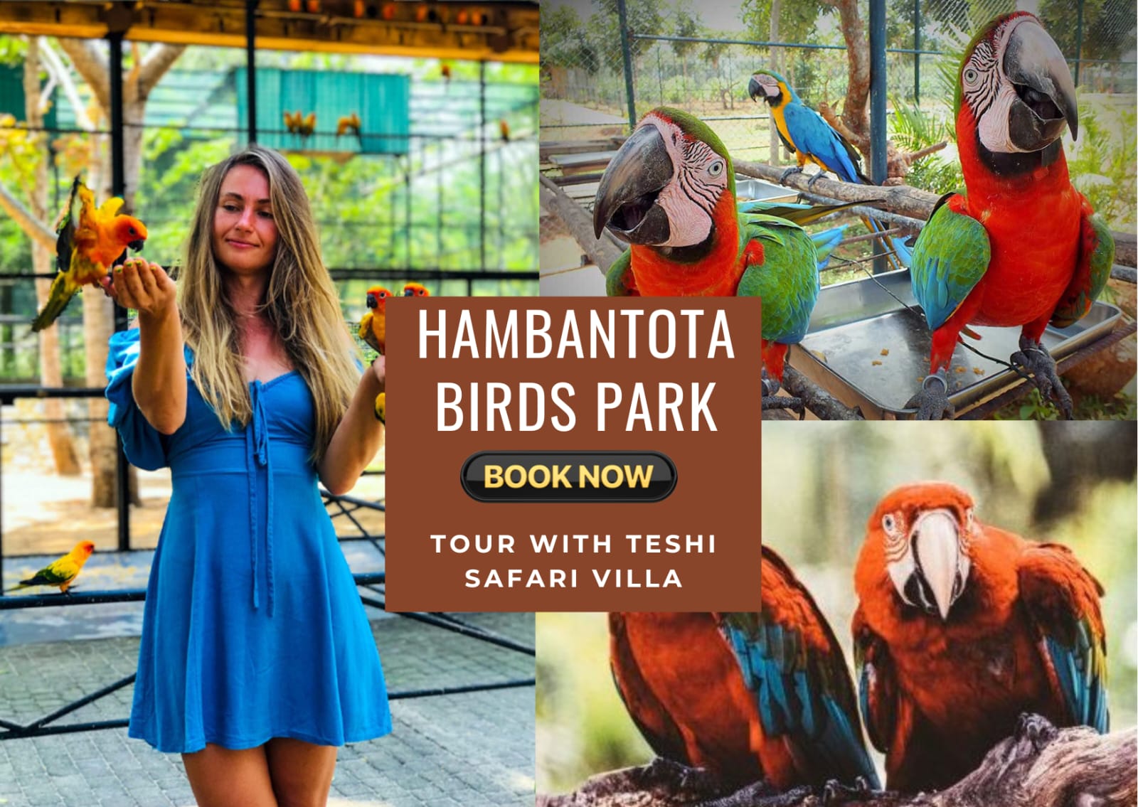 Hambantota Birds Park tour