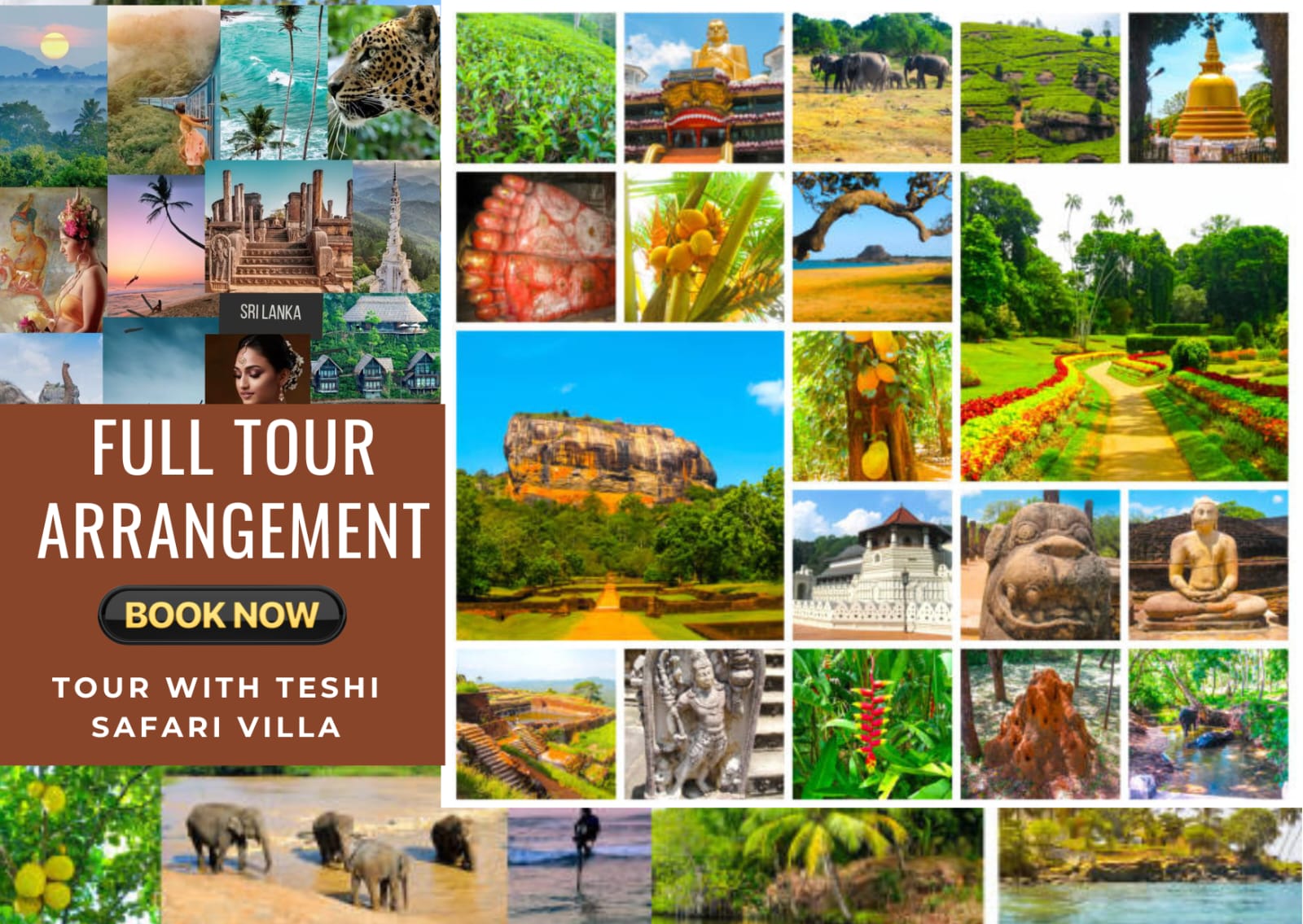 Full 5 day tour arrangement by Teshi Safari Villa
