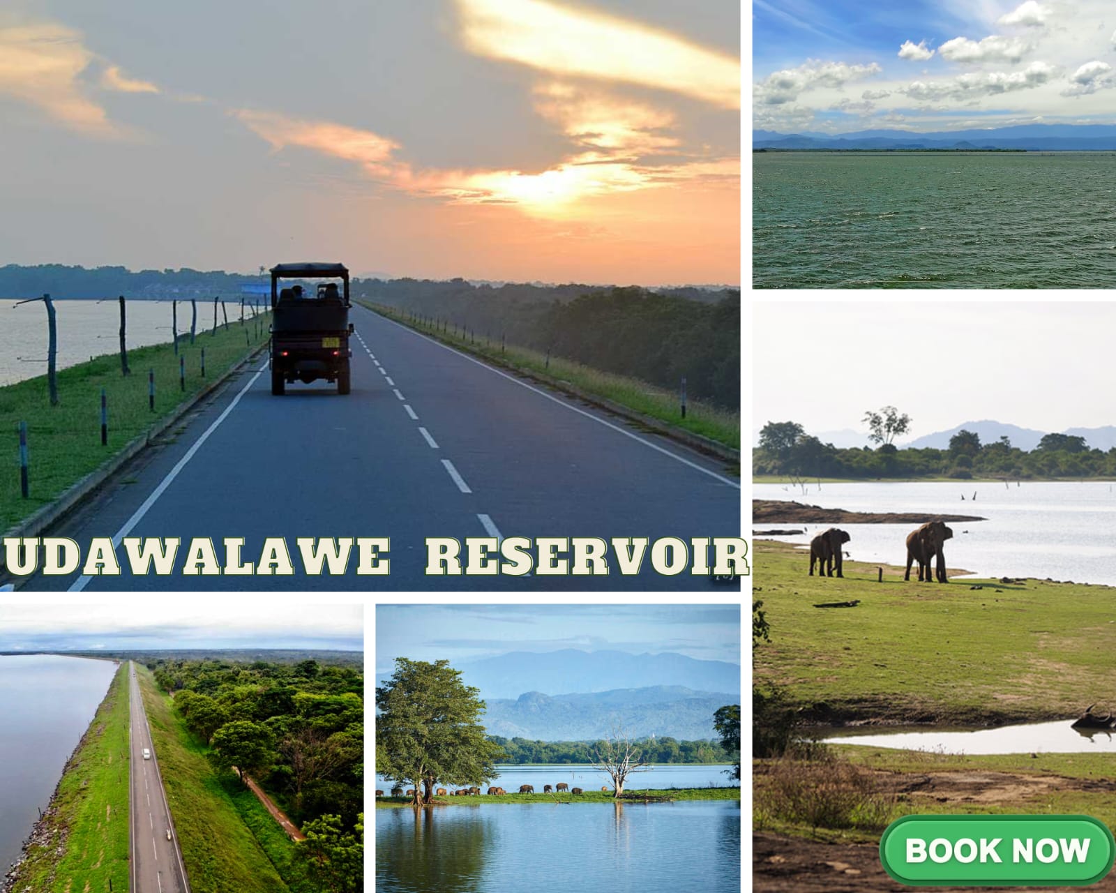 Udawalawe Reservoir nature tour