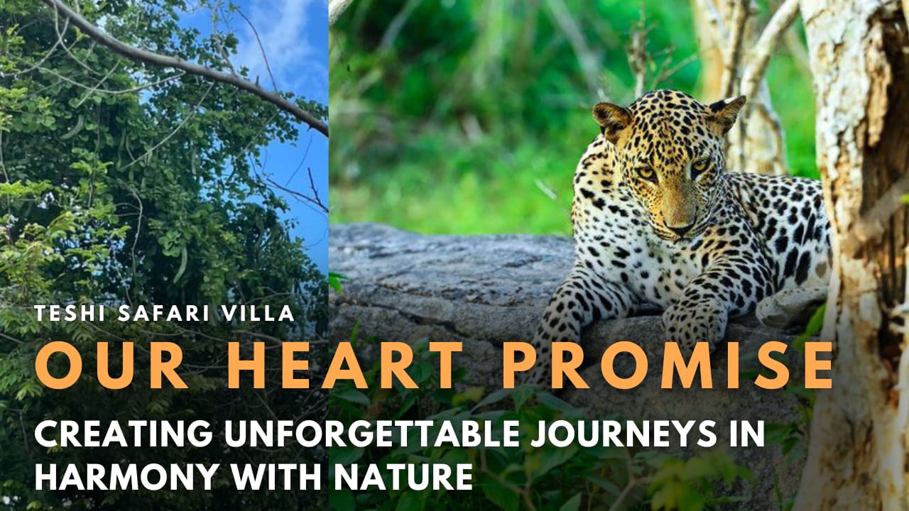 Vision and mission image